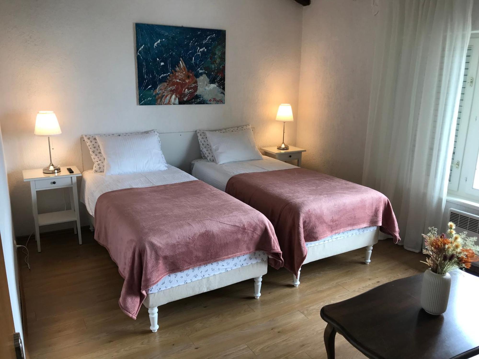 Apartman Premium Punta Kolova