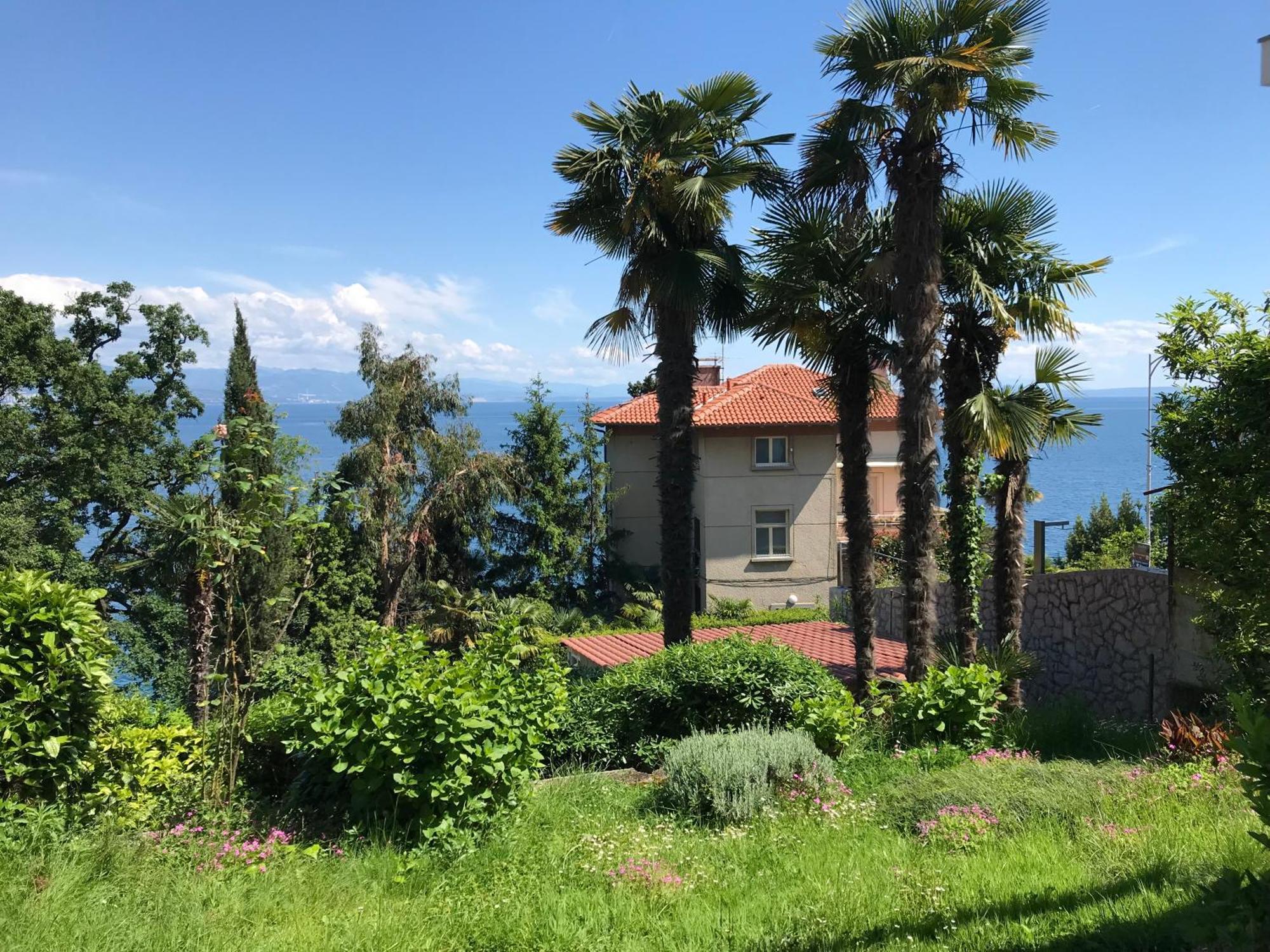 Apartment Premium Punta Kolova *